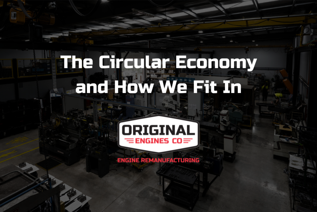 The Circular Economy and How We Fit In